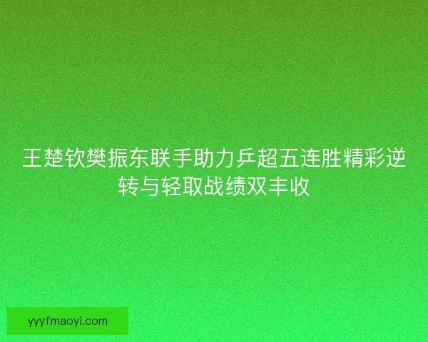 王楚钦樊振东联手助力乒超五连胜精彩逆转与轻取战绩双丰收 王楚钦樊振东联手助力乒超五连胜精彩逆转与轻取战绩双丰收