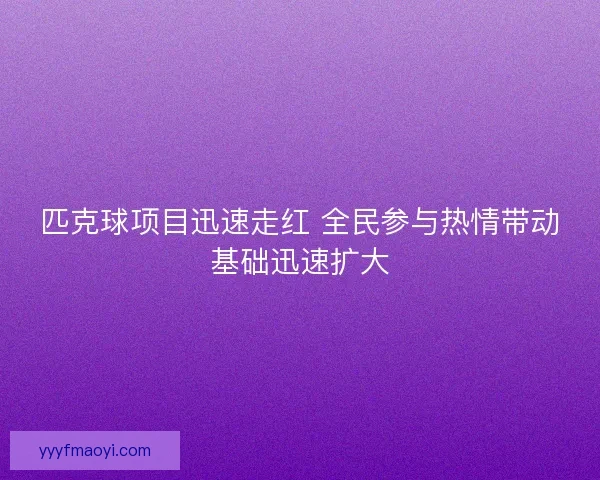 匹克球项目迅速走红 全民参与热情带动基础迅速扩大